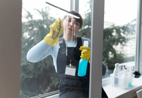 Nettoyage de vitres intérieures et extérieures à Sainte-Geneviève-lès-Gasny